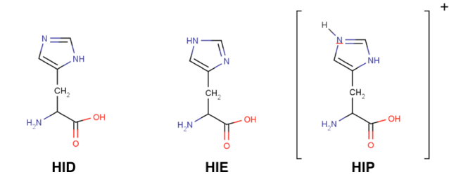 three histidine states: HID HIE and HIP.